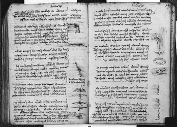 Manuscrit de Paris E, fol. 53v et 54r : Esquisse représentant le vol des oiseaux, 1513-14